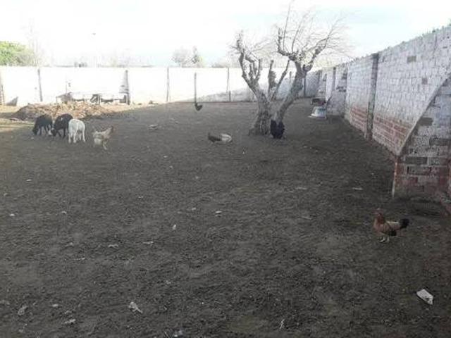 Casa rústica / Caserío en Venta en Montearagón