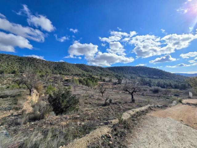 Terreno en Venta en Monóvar Monòver