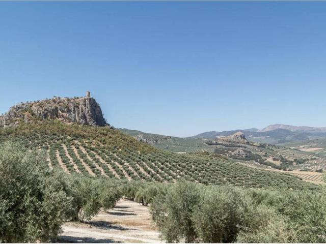 Casa rústica / Caserío en Venta en Moclín