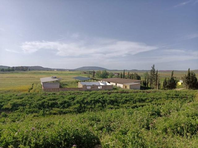 Casa rústica / Caserío en Venta en Mollina