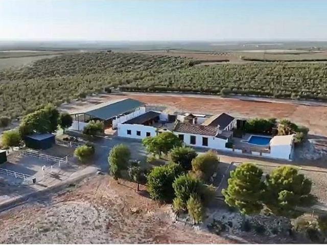 Casa rústica / Caserío en Venta en Morón de La Frontera