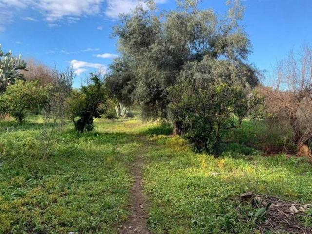Terreno en Venta en Murcia