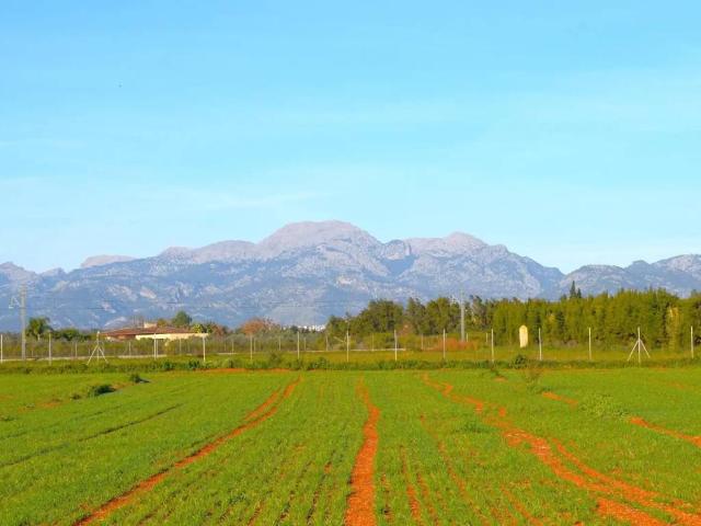 Casa rústica / Caserío en Venta en Muro