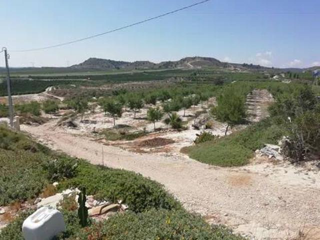 Casa rústica / Caserío en Venta en Orihuela