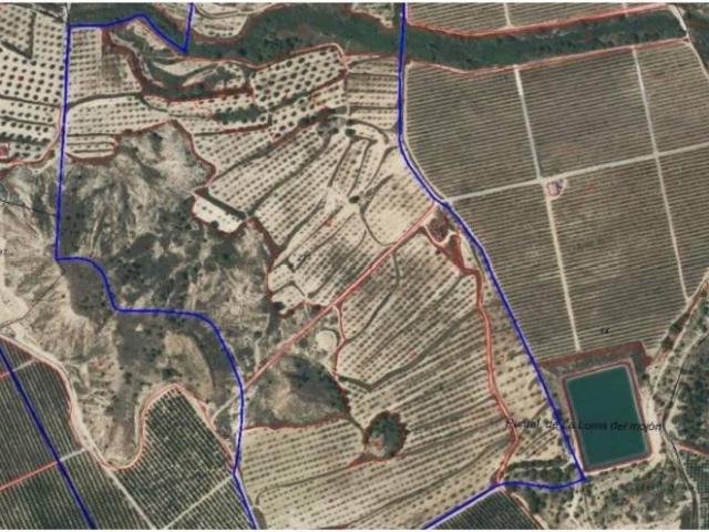 Casa rústica / Caserío en Venta en Orihuela