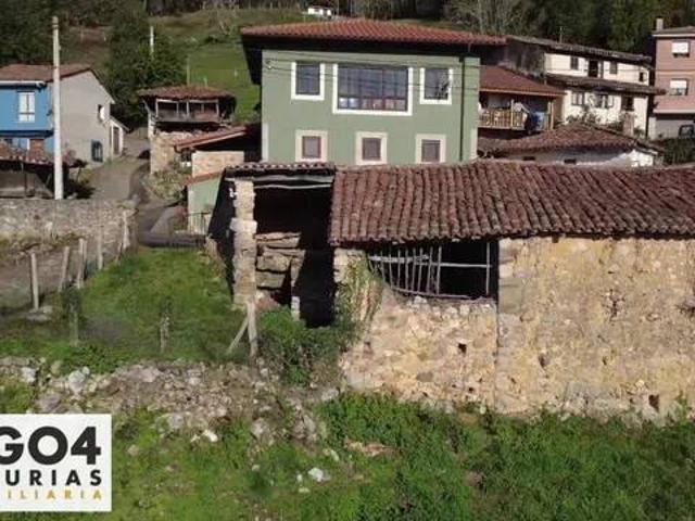 Casa rústica / Caserío en Venta en Parres