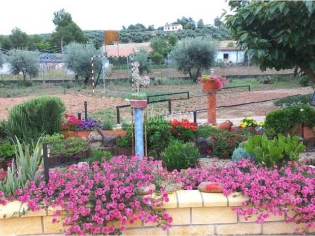 Casa rústica / Caserío en Venta en Pedro Abad