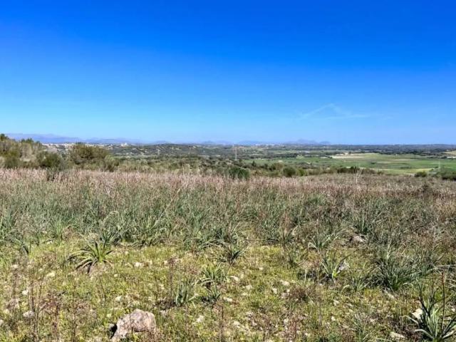 Casa rústica / Caserío en Venta en Petra