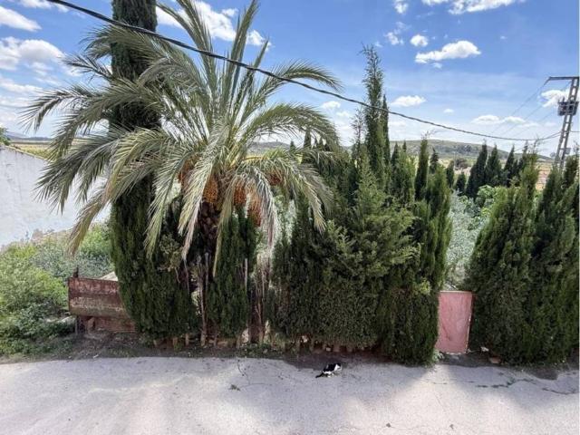 Casa rústica / Caserío en Venta en Pinoso El Pinós