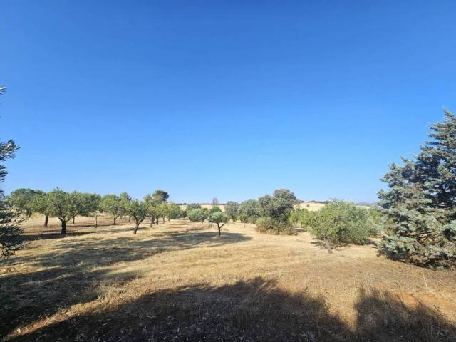 Casa rústica / Caserío en Venta en Picón