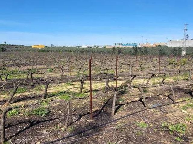 Casa rústica / Caserío en Venta en Pilas