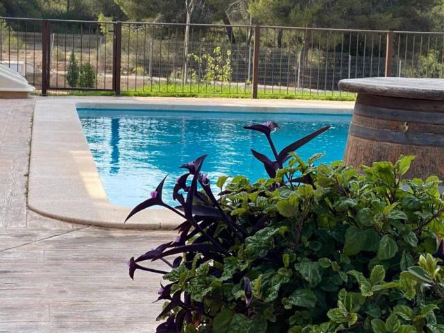 Casa rústica / Caserío en Venta en Pilar de la Horadada