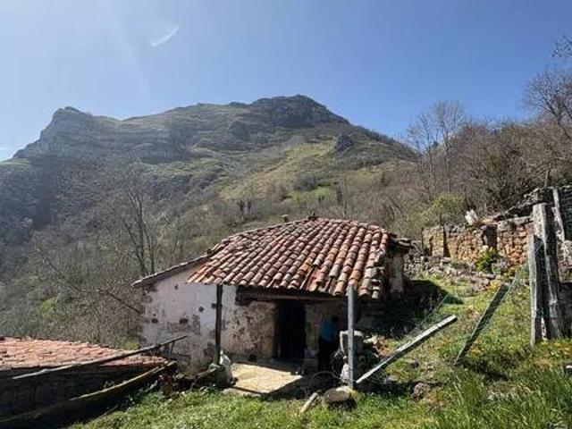 Casa rústica / Caserío en Venta en Ponga