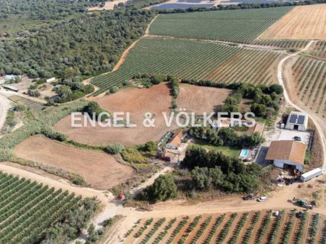 Casa rústica / Caserío en Venta en Puerto Real