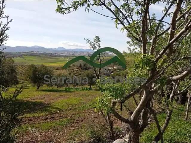 Casa rústica / Caserío en Venta en Ronda