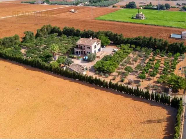Casa rústica / Caserío en Venta en Sa Pobla