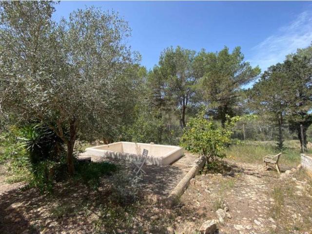 Casa rústica / Caserío en Venta en Sant Antoni de Portmany