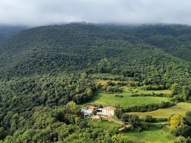Casa rústica / Caserío en Venta en Sant Feliu de Pallerols