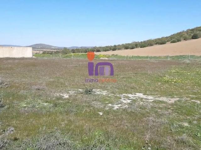 Casa rústica / Caserío en Venta en Santa Cruz de Mudela