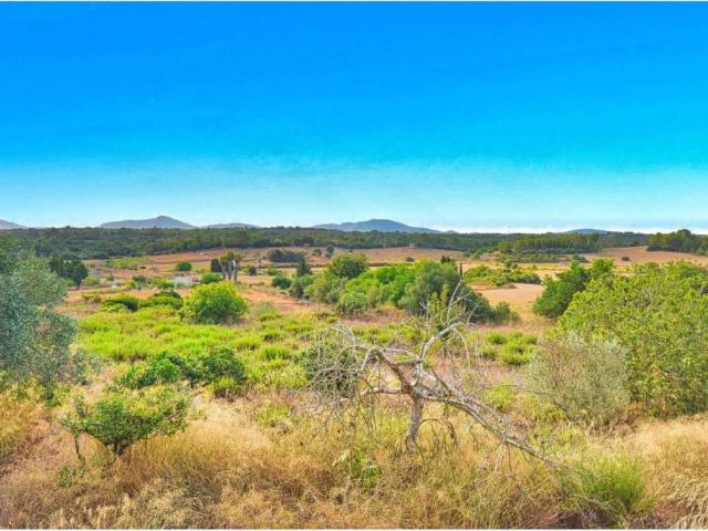 Casa rústica / Caserío en Venta en Santa Margalida