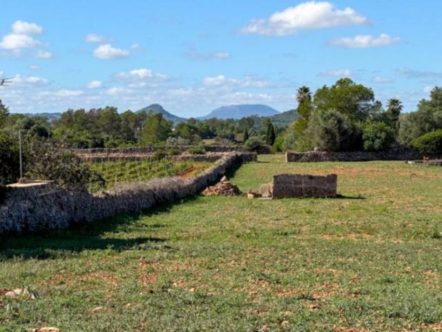 Casa rústica / Caserío en Venta en Santa Margalida