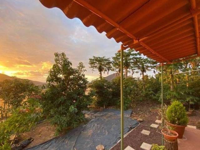 Casa rústica / Caserío en Venta en Santa María de Guía de Gran Canaria