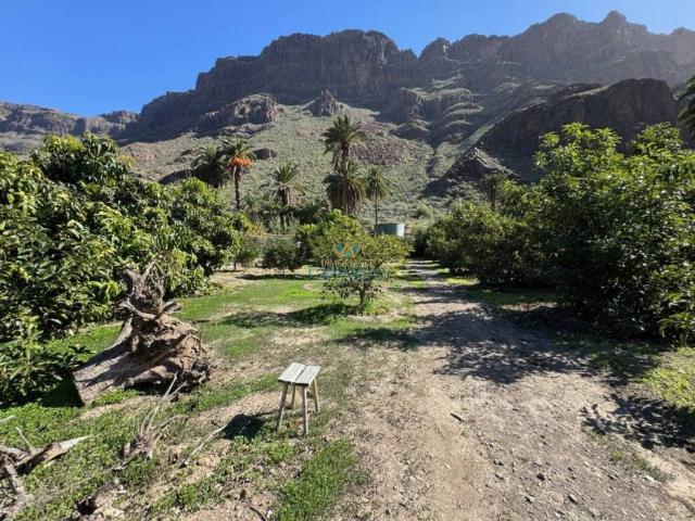 Casa rústica / Caserío en Venta en San Bartolomé de Tirajana