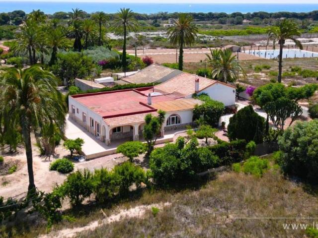 Casa rústica / Caserío en Venta en Elche Elx