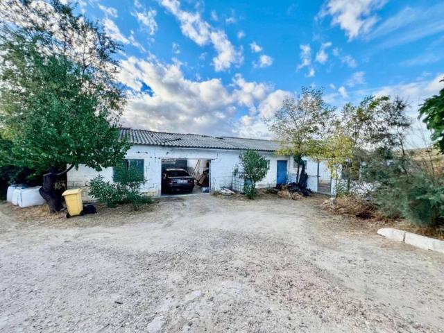 Casa rústica / Caserío en Venta en San Martín de Pusa