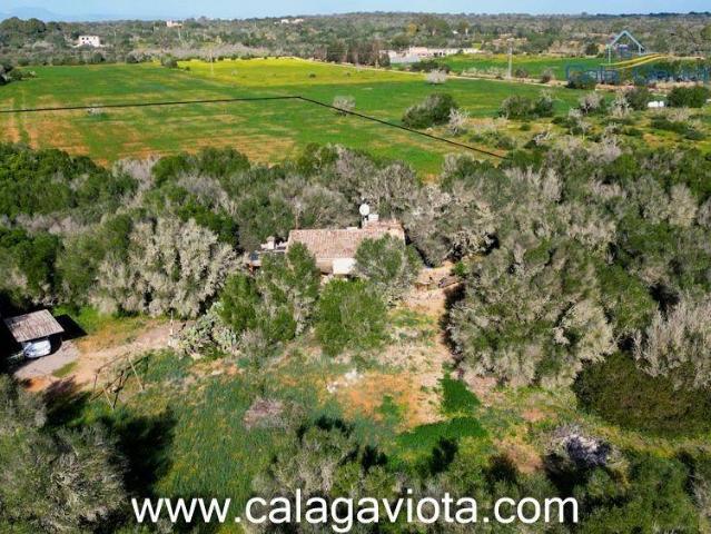 Casa rústica / Caserío en Venta en Ses Salines