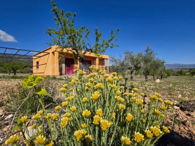 Casa rústica, Castalla