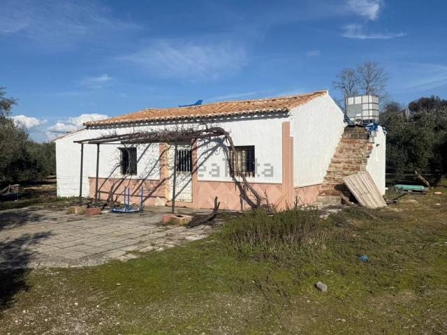 Casa rústica, Chauchina