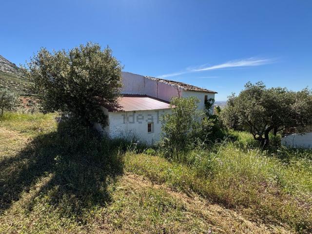 Casa rústica, Antequera