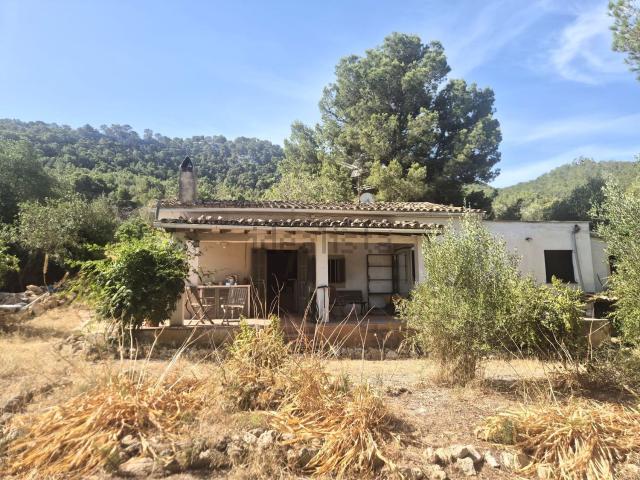 Casa rústica, Andratx