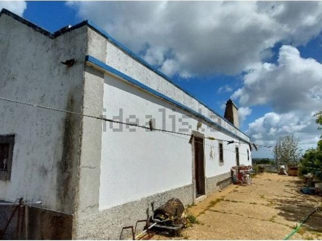 Casa rústica, Abela