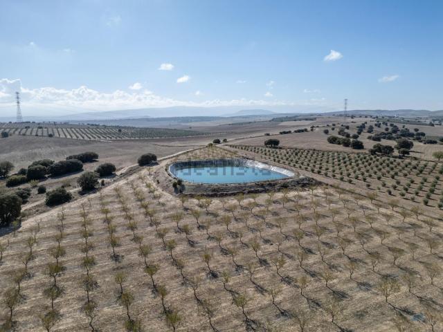 Casa rústica, Alamedilla