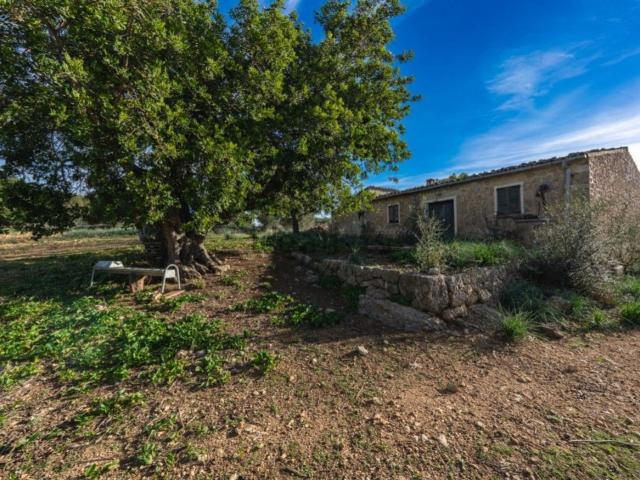 Casa rústica, Alaró