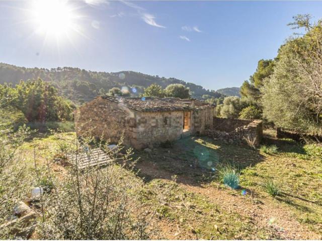 Casa rústica, Alaró