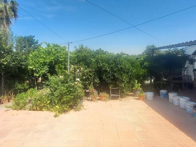Casa rústica, Alcantarilla