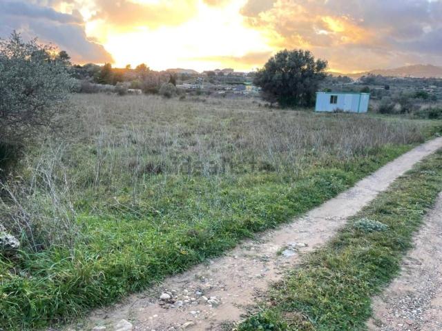 Casa rústica, Alcora
