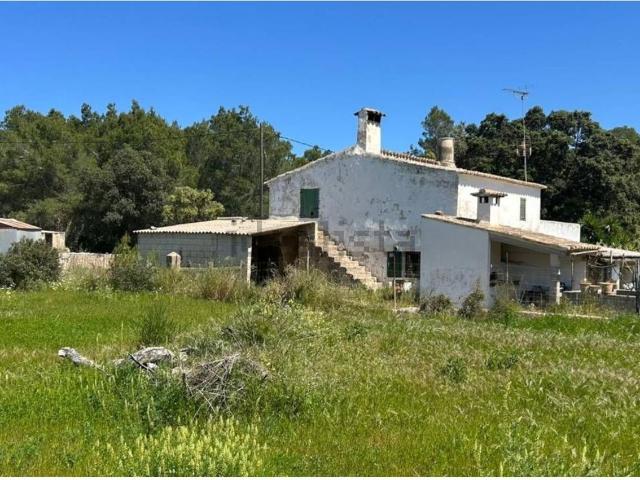 Casa rústica, Alcúdia