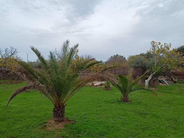 Casa rústica, Alcuéscar