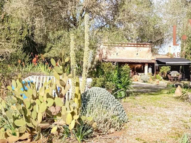 Casa rústica, Algaida