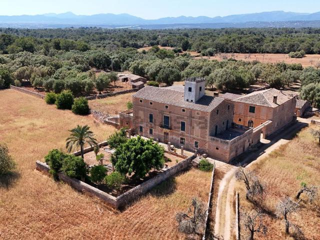 Casa rústica, Algaida
