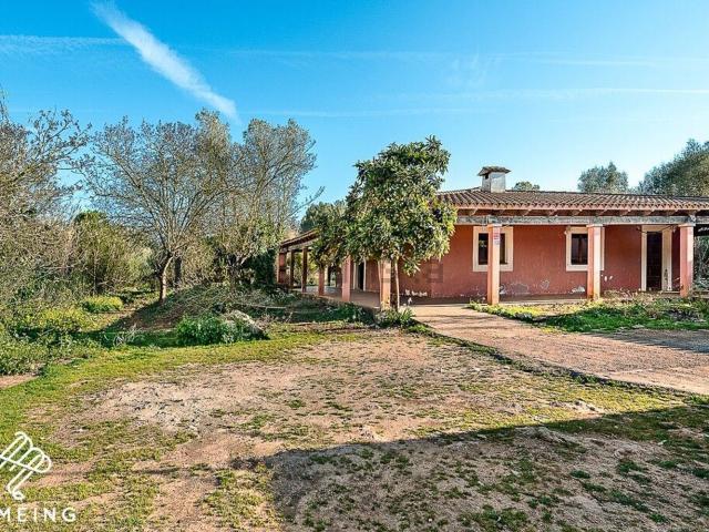 Casa rústica, Algaida