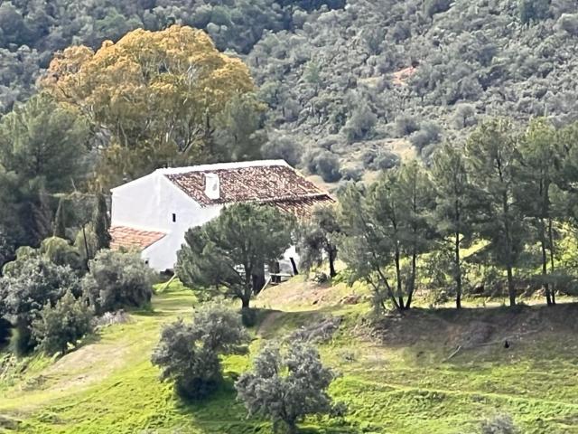 Casa rústica, Almogía
