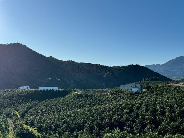 Casa rústica, Alora