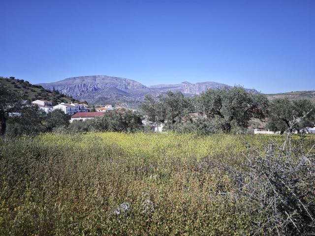 Casa rústica, Alora