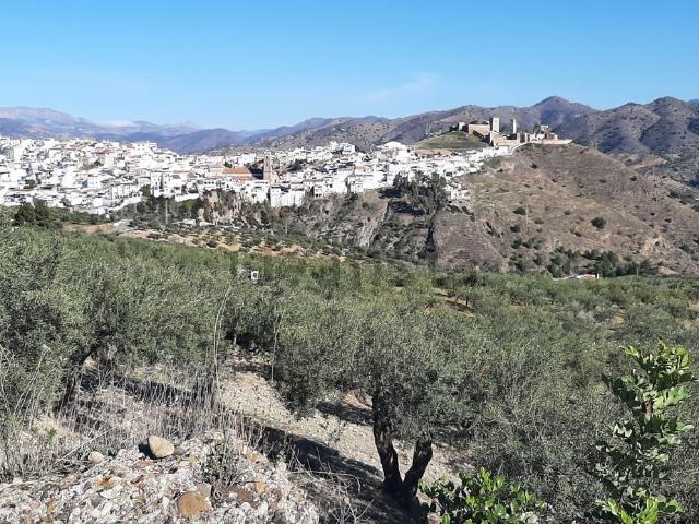 Casa rústica, Alora