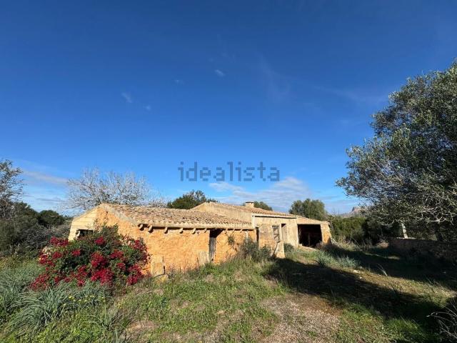 Casa rústica, Arta